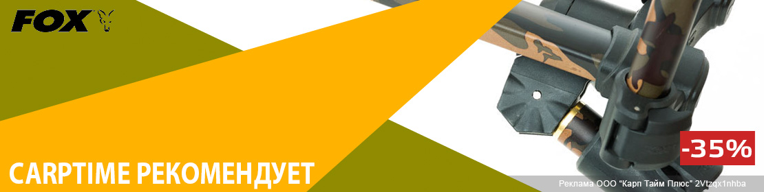 CarpTime рекомендует